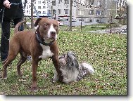 Můj největší kamarád...