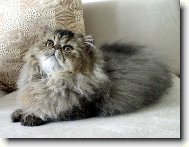 Xantypa Rému-Martin