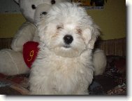 3 měsíční Montíček:)