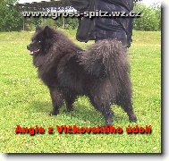 Angie z Vlčkovského údolí