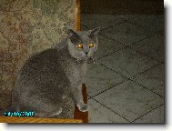 Ahoj já jsem Frenkie.