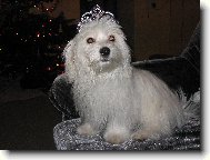 Kimeček náš král :-)