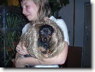 Jerry v přestrojení:)