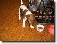 Pojď si se mnou hrát