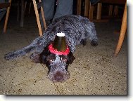 Gina v silvestrovském opojení