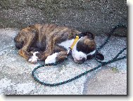 Úplně první fotka trošku unavené Elinky