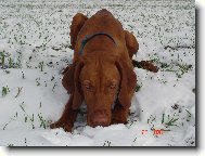 můj první snížek ...