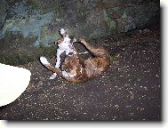 Elinka s kamarádkou