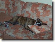 Ještě si zdřímnu :)