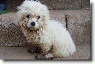 Když byl Kimi malý