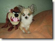 adámek ve svých 9.5letech