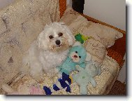 Samíček a jeho hračky