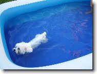 můj malý plavec:-))