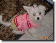 To jsem fešanda,že?