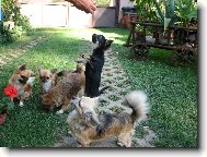 Já jsem největší.