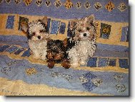 naše první představení