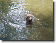 to jsem si pěkně zaplavala