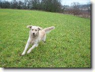 běžíííííííííím!