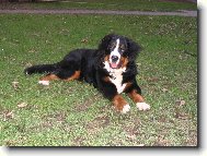 Astor Polepské údolí