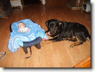 dal bych si...tu sekanou,co má na bříšku