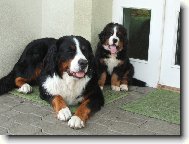 Astor Polepské údolí