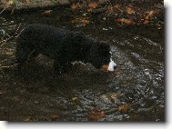 Astor Polepské údolí