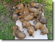 Až vyrostem, půjde z nás strach!