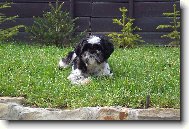 Já jsem Valdemar to koukáte co?