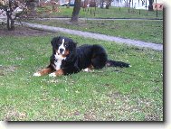 Astor Polepské údolí - 7 a půl měsíce