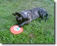 Bady Rolf aus Mährischen Bergen