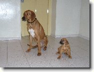 Táta a dcera - Gucci a Barunka