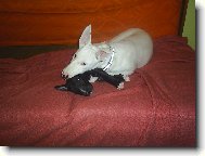 Jsme ti nej kámoši !!!