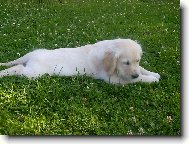 Ahoj jmenuji se Angel a sem vážně andílek=o)