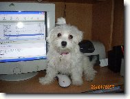 Kdo je větší?Já nebo počítač mé paničky?