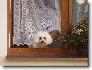 Samuel kouká jak je dneska venku:-))