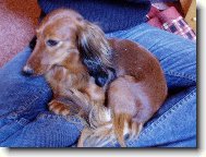 naše malá Natálka