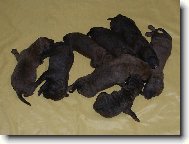 CBR po narození...)))