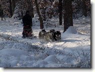 Vzpomínka na letošní podivnou zimu