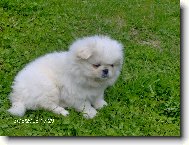 Láska, ktorá ma opustila navždy