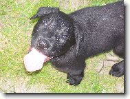 Jessie když byla ještě malinká