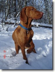 Bora Z Labské Lhoty