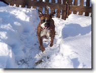 hurááááááááá