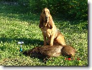 Yazoo-Zdeněk v.Oude Watertoren