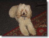 to je můj milášek