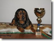 Takhle jsem byl šikovný