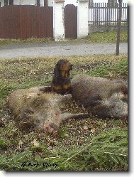 Takhle jsem byl šikovný