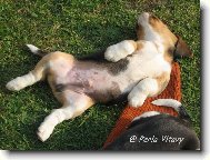 Sladký spánek Empira