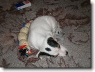 Ještě Agnes ale tentokrát jako andílek