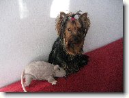 Dorinka s kámoškou