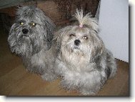 Sindynka a Lumpík:-)